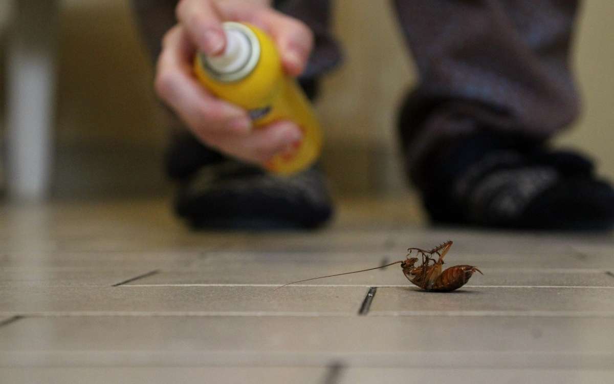 A person holding an insecticide spray in can pointing to a dead cockroach on the floor