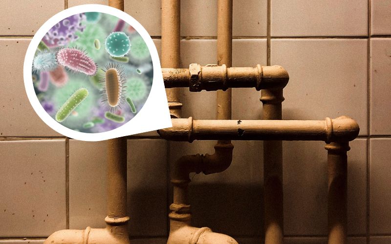 Photo of brown-colored pipes set on brown walls with an overlay of a round picture of bacteria