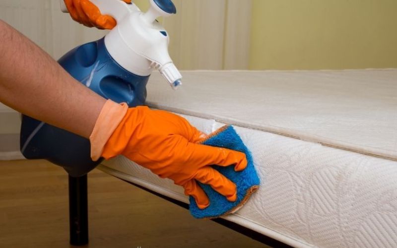 A person wearing orange gloves uses sponge in cleaning the mattress