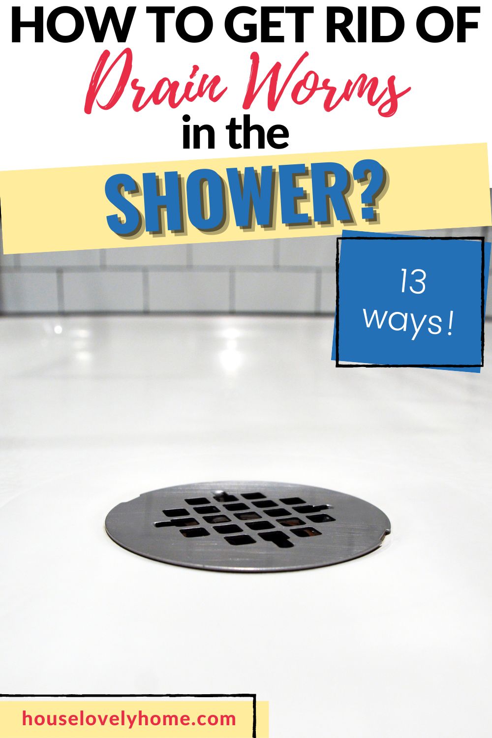 picture of shower drain with text overlay that reads How to get rid of drain worms in the shower
