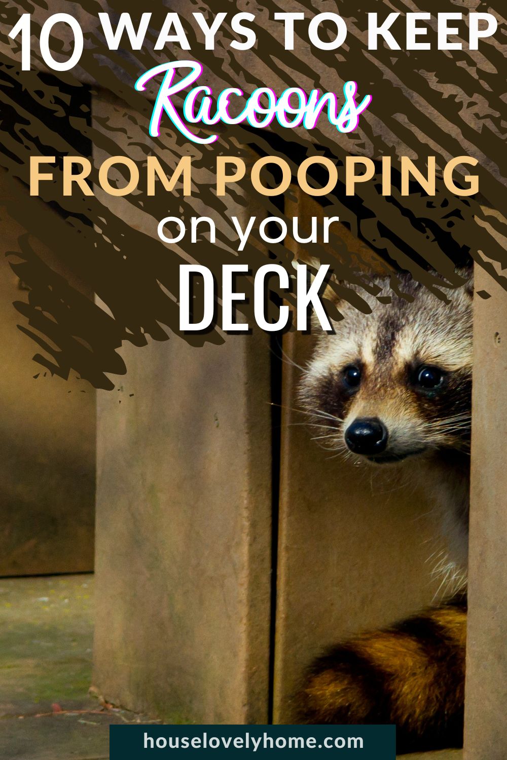 A racoon hiding under a deck with text overlays that read 10 Ways to Keep Raccoons From Pooping on Your Deck