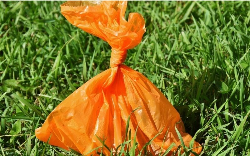 image of a tied up plastic bag on the ground with grass
