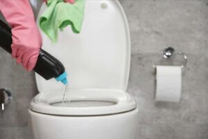 Can You Use Drano in a Toilet? [Answered]
