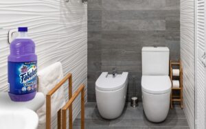 Image showing a toilet, bidet and fabuloso cleaner inside the bathroom