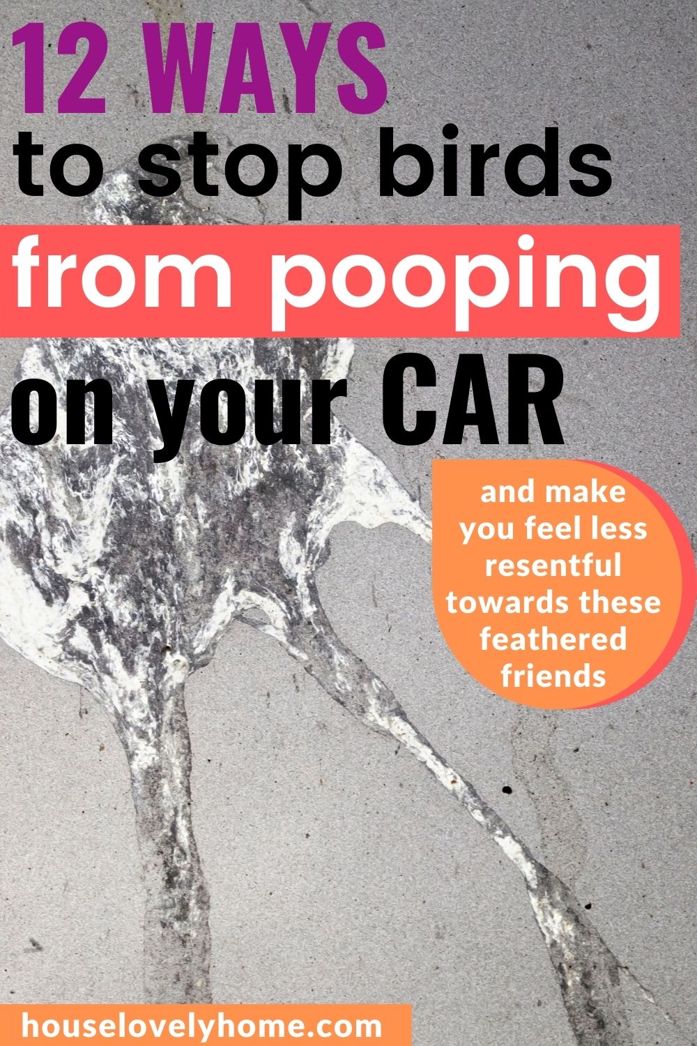 Photo showing a bird's poop on what looks like the car's windshield with text overlays that read 12 Ways to Stop Birds from Pooping On Your Car.
