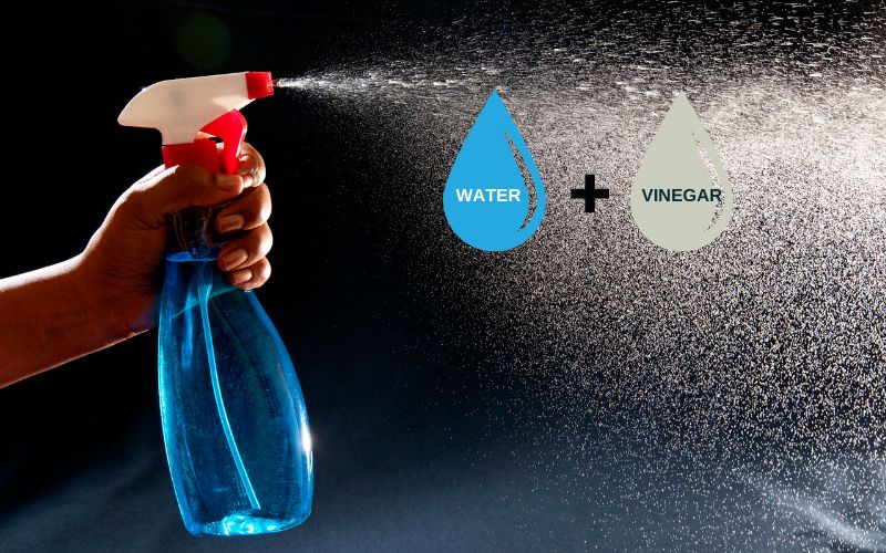 Photo of a hand olding a spray with drop images labeled water on blue drop and vinegar on grey drop