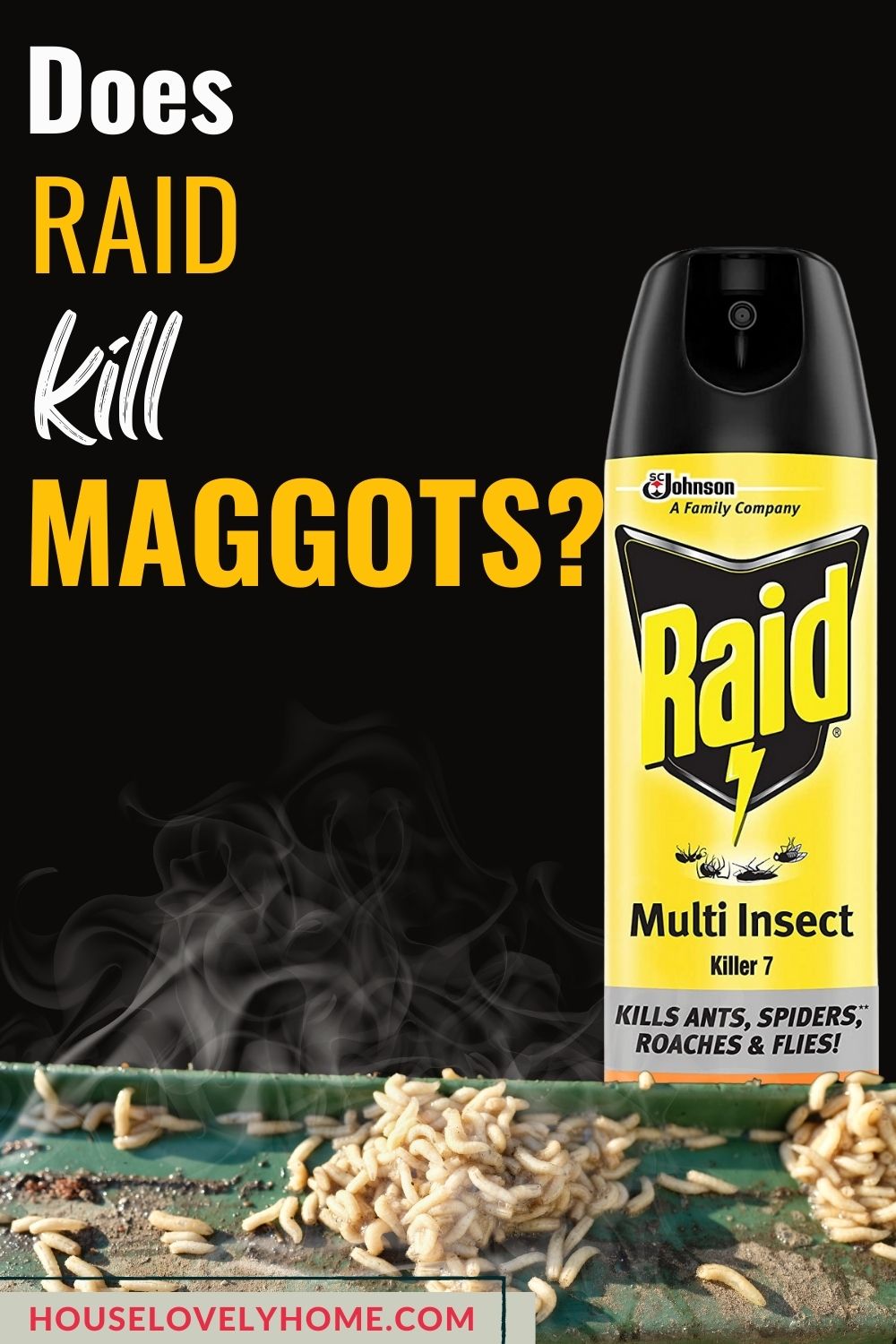 Image showing maggots on green wooden board, a Raid Insecticide and text overlays that read does raid kill maggots