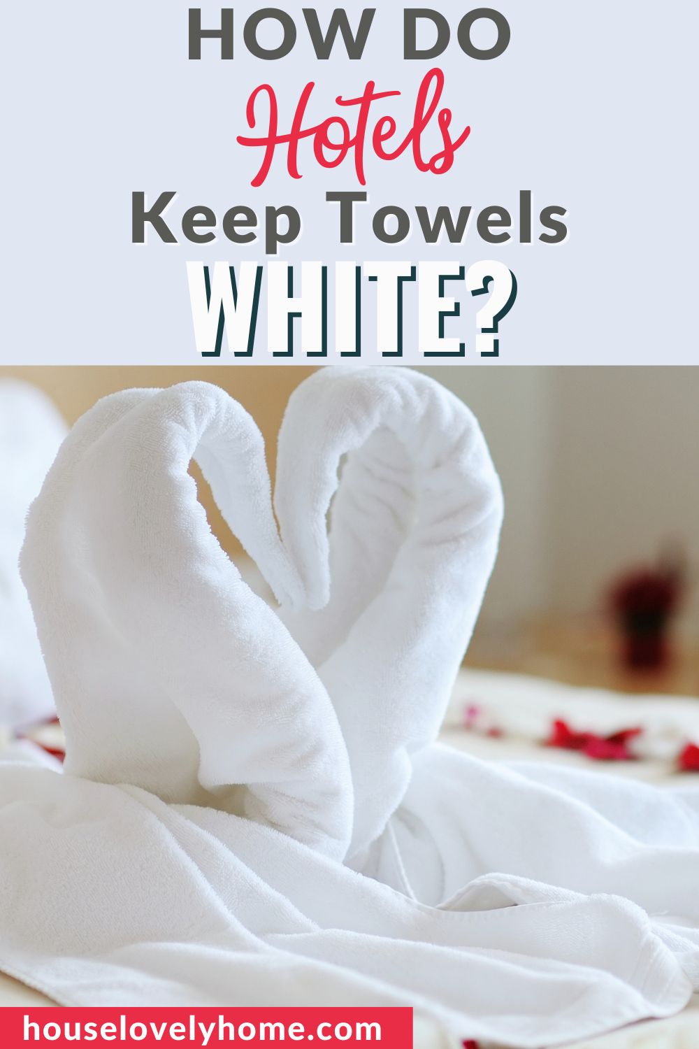 Photo of white towels from hotel shaped like a swan on the bed with text overlays that read How Do Hotels Keep Towels White