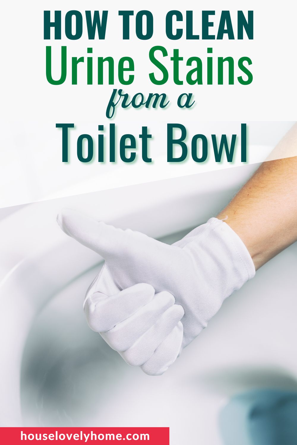 A hand gesturing a thumb up over a clean toilet bowl with text overlays that read How to Clean Urine Stains From a Toilet Bowl.