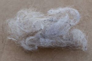 10 Effective Ways to Get Rid of Fluff in Your Washing Machine