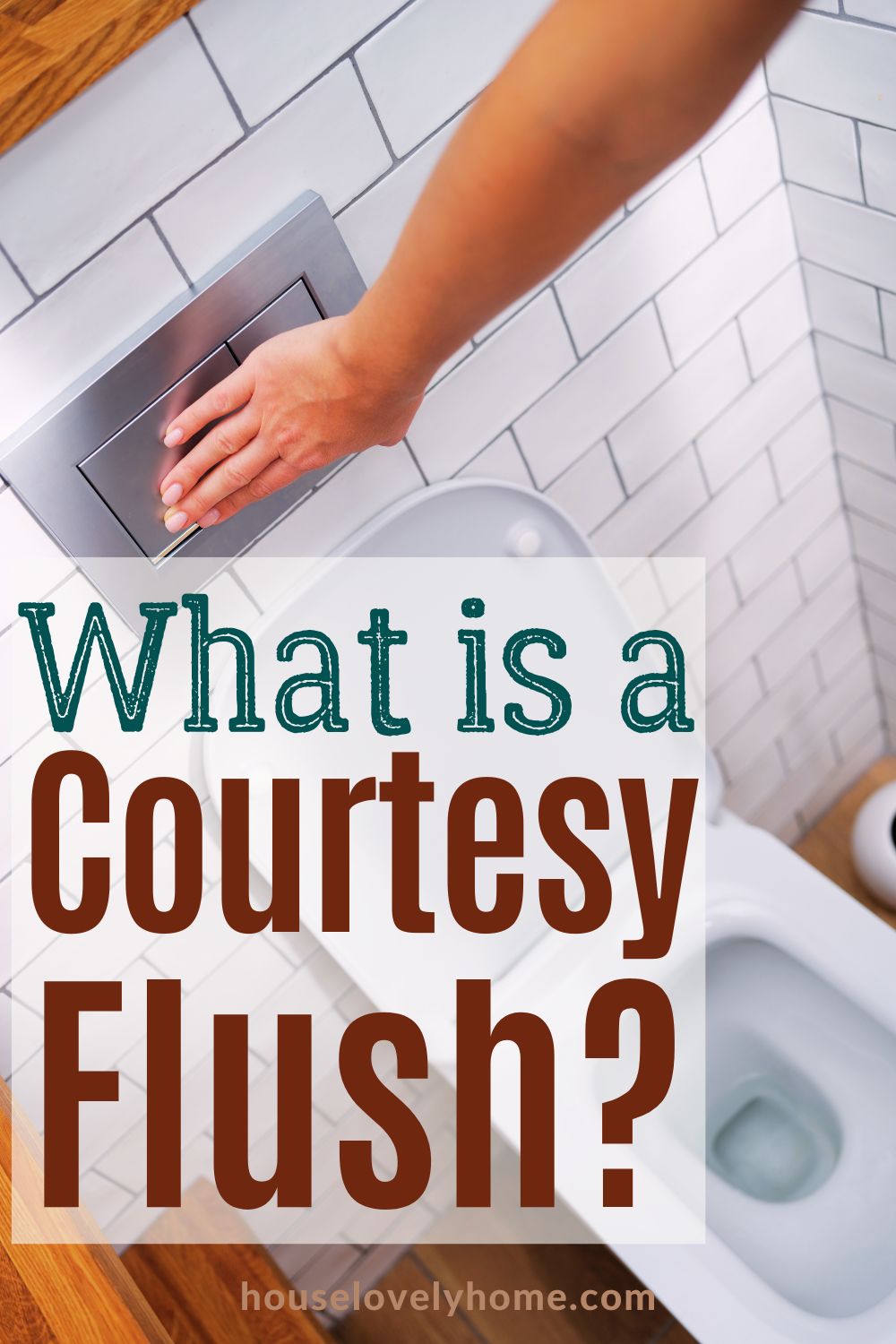 What is a Courtesy Flush_ Pin Image