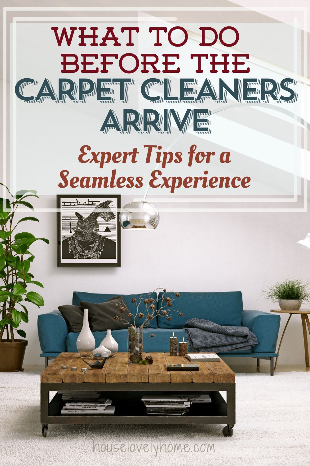What to Do Before the Carpet Cleaners Arrive Pin Image